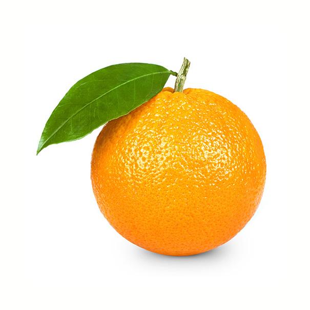 /media/items/6XZSr6ddCl6cxfo0UchP.jpg